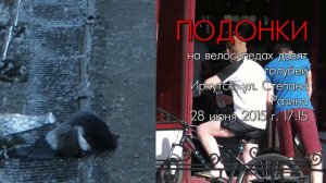 Подонки в Иркутске давят голубей. Иркутские хроники 28.06.2015