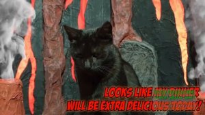 КРУПНЫЙ ХОМЯК против КОТА доктора  2 ОХОТА ЗА СОКРОВИЩАМИ вулкана