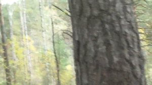 Боль... звучит гитарная струна. Дельта. Для тех, кому грустно.