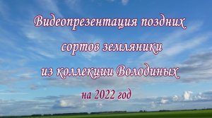 Видеопрезентация поздних сортов земляники коллекции Володиных на 2022 год.