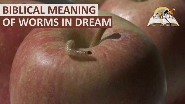 Biblical Meaning of WORMS in Dreams - Find Out Spiritual Meaning of Worms