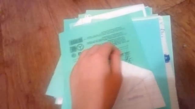 Все мои тетради за годамного