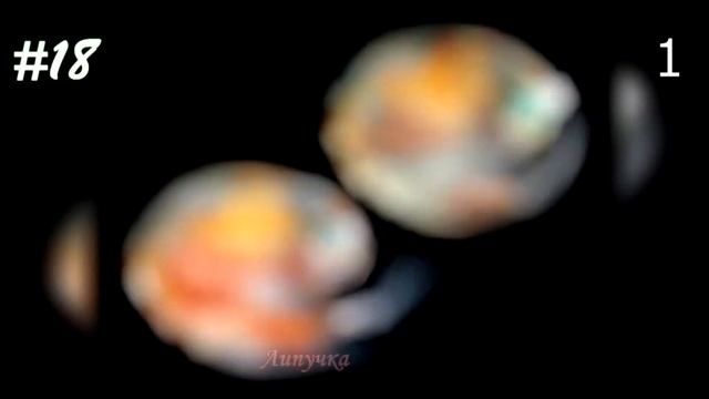 Невероятные фото, сделанные с помощью микроскопа №26 [Под микроскопом]