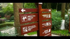 КАК Я ПОТИСКАЛ ПАНДУ? ● ЗАПОВЕДНИК ПАНД ● КИТАЙ