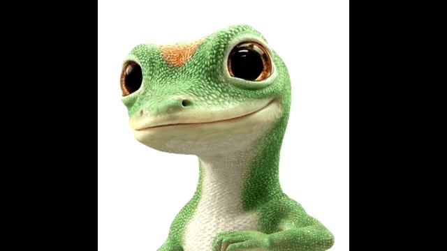 GEICO Gecko - 8 Beat Dance from Casio CTK-900/WK 3200/3700 (150 bpm, composed in F sharp major) смотреть онлайн