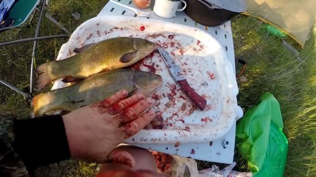 рыбалка Харабали 2016