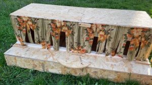 Гнезда с яйцеприемником "Пианино".  АНОНС