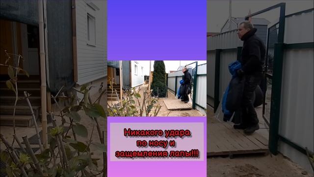 ТЕСТ ОХРАНЫ ТЕРРИТОРИИ БЕЗ ЗАЩИТНОГО СНАРЯЖЕНИЯ