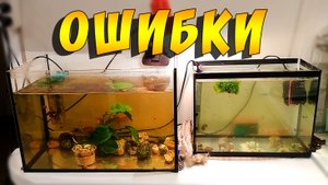 Эти ошибки встречаю в каждом аквариуме новичка!