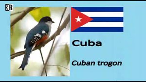 ❤️СИМВОЛЫ СТРАН (Animal - Cuba - France)