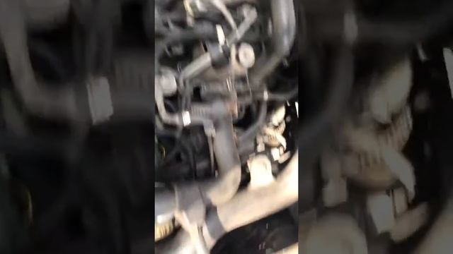 Volkswagen Passat b5 1.9tdi 1999 Работа двигателя. Engine work