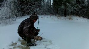 зимняя рыбалка язь 1.5 кг , за язем и сорогой на реку Еты-пур