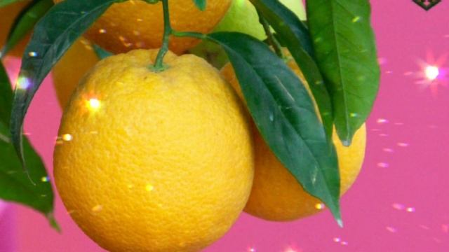 КАК ВЫЛЕЧИТЬ САМЫЙ СИЛЬНЫЙ КАШЕЛЬ ? ЛУЧШЕЕ СРЕДСТВО от КАШЛЯ!