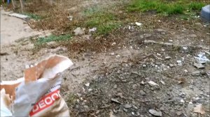 Стройка 6.  Капитальный ремонт стены забора. Штукатурка " Короед"