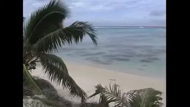 ПАЛЬТО.. смотреть онлайн