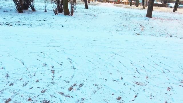 ОБЗОР СКАМЕЙКИ В ДОЛГООЗЕРНОМ ПАРКЕ смотреть онлайн