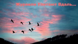 Журавли Улетают Вдаль...