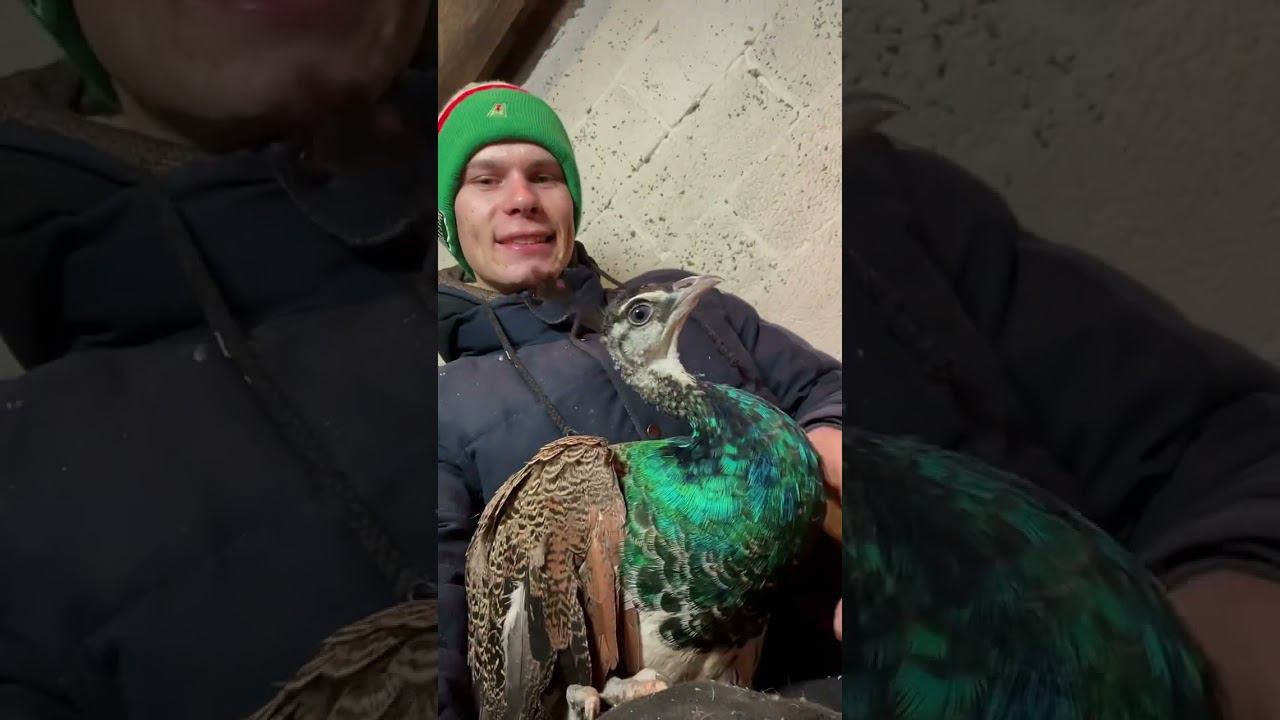 Страх каждого в детстве в деревне угадал ? #кириллстепанов смотреть онлайн