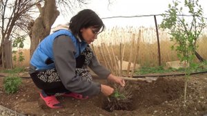 ПОЛУЧИЛСЯ НОВЫЙ ЦВЕТНИК КОТОРЫЙ НЕ ПЛАНИРОВАЛА ИЗ ТОГО ЧТО БЫЛО