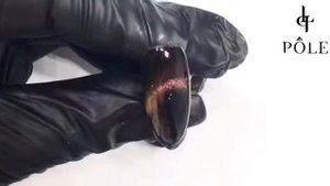 Новый магнит для маникюра POLE Cosmetics