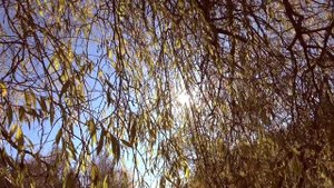 Кристина Сухацкая - Спасибо сказать + НОТЫ - детские песни на Жатву и День Благодарения