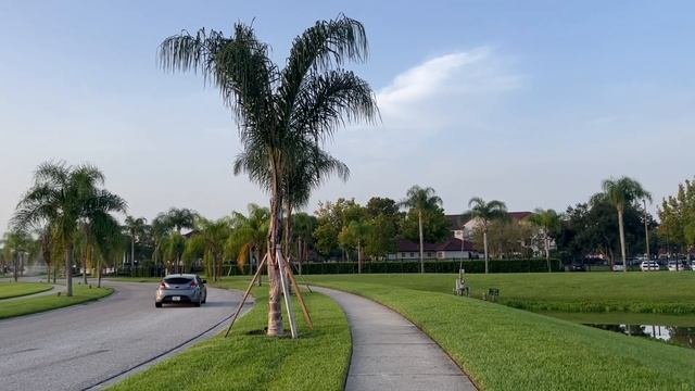 Школа в США, впечатления детей после первого дня в американской школе.