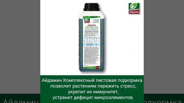 Подкормка хвойных весной смотреть онлайн