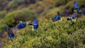 Сборник самых невероятно Красивых и Нежных мелодий до глубины Души. Сергей Чекалин