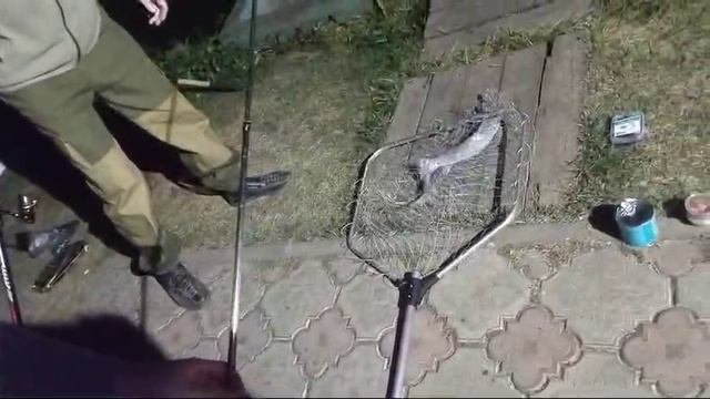 РК Три Пескаря! Video 2024-09-11 At 05.48.49