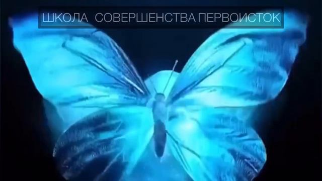 ЭНЕРГЕТИЧЕСКАЯ ГРАМОТНОСТЬ