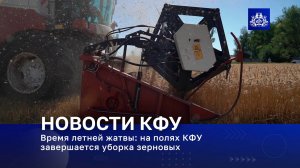 Время летней жатвы: на полях КФУ завершается уборка зерновых
