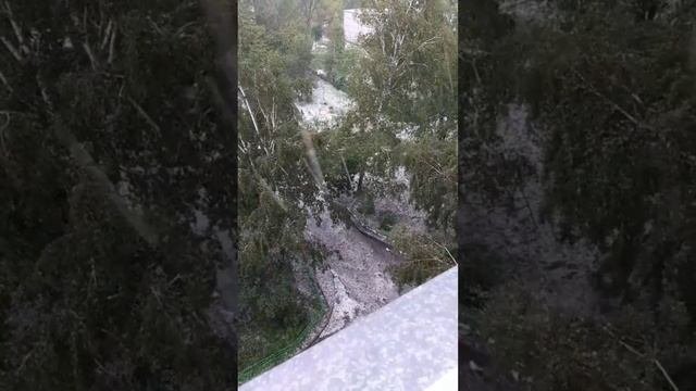 В Новосибирске идет сильный ливень