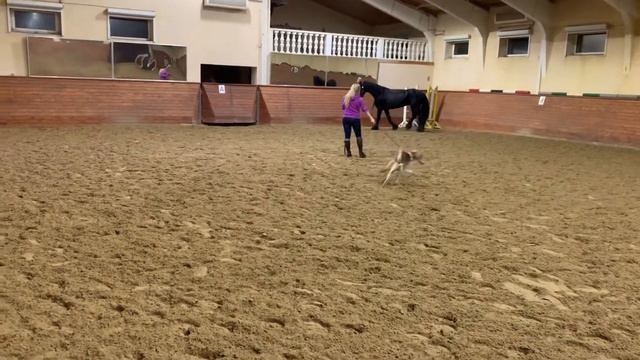 18 ноября 2019 г. смотреть онлайн