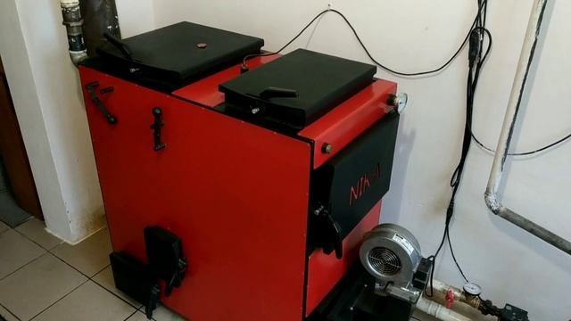 ПИТОН или ЭКОН что выбрать? смотреть онлайн