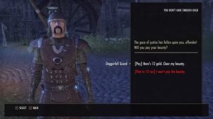 Elder Scrolls Online Tamriel Unlimited Guards Gone Wild!