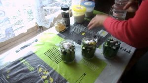 Огурцы по-Венгерски