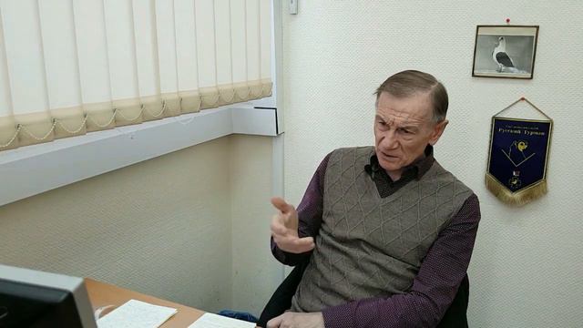 Голуби породы турман. Лекция третья. О краснопегих турманах. Константин Шарпов.