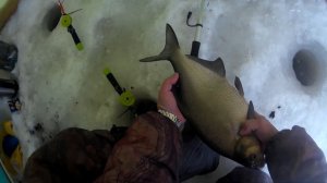 ЛЕЩ в 150-тую лунку! Фрагмент видео "Зимняя рыбалка с ночёвкой - 2"