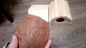 Содержание сирийского хомяка??