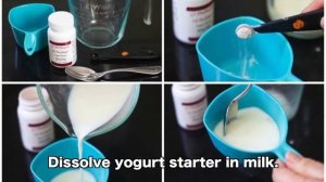 HOW TO MAKE 24 HOUR PROBIOTIC YOGURT