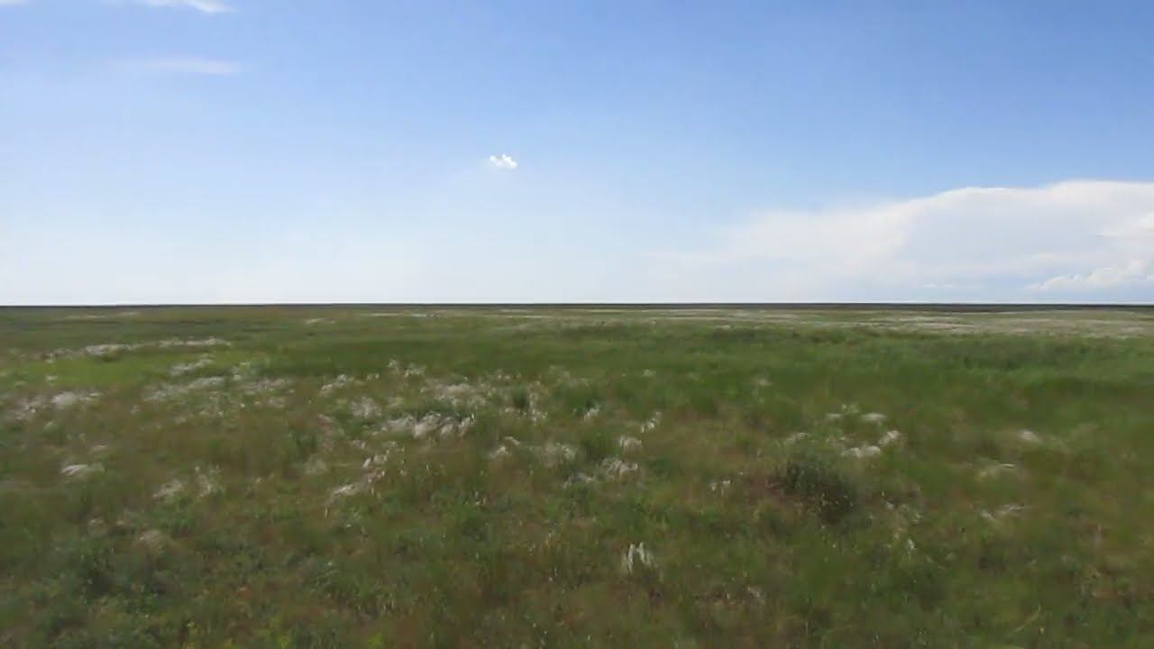 Исчезнувший посёлок Казаковский, Пугачевский район.