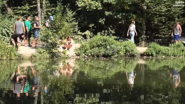Черепашье озеро в Крыму. Красноухая черепаха || Turtle lake in the Crimea. Red-eared turtle.
