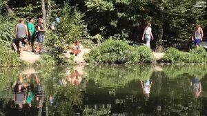 Черепашье озеро в Крыму. Красноухая черепаха || Turtle lake in the Crimea. Red-eared turtle.