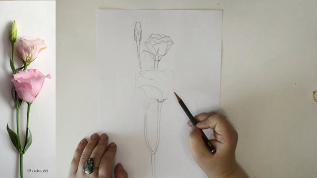 МК "Эустома". Часть1. смотреть онлайн