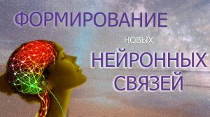 В НОВЫЙ МИР СО СТАРЫМ МЫШЛЕНИЕМ НЕ ПРОПУСТЯТ/НУЖНО ФОРМИРОВАТЬ НОВЫЕ НЕЙРОННЫЕ СВЯЗИ