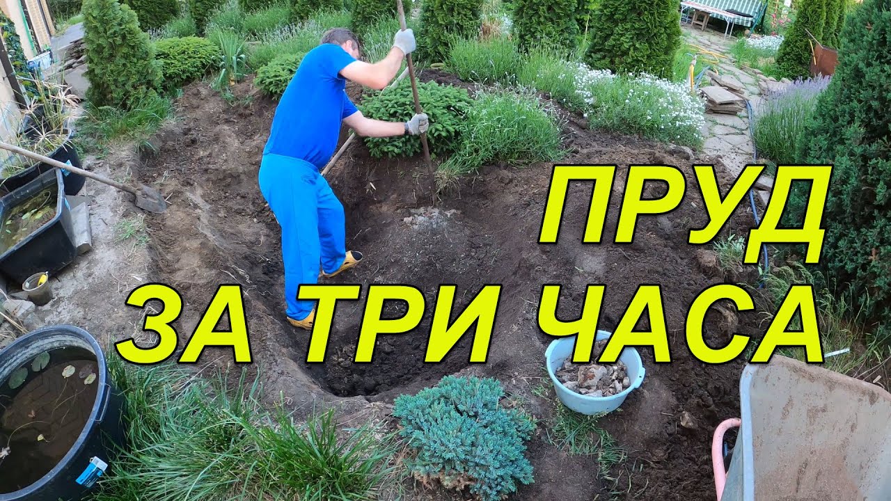 Пруд своими руками за три часа