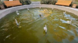 Ташкент. Как меняется наш Дворец Авиастроителей.