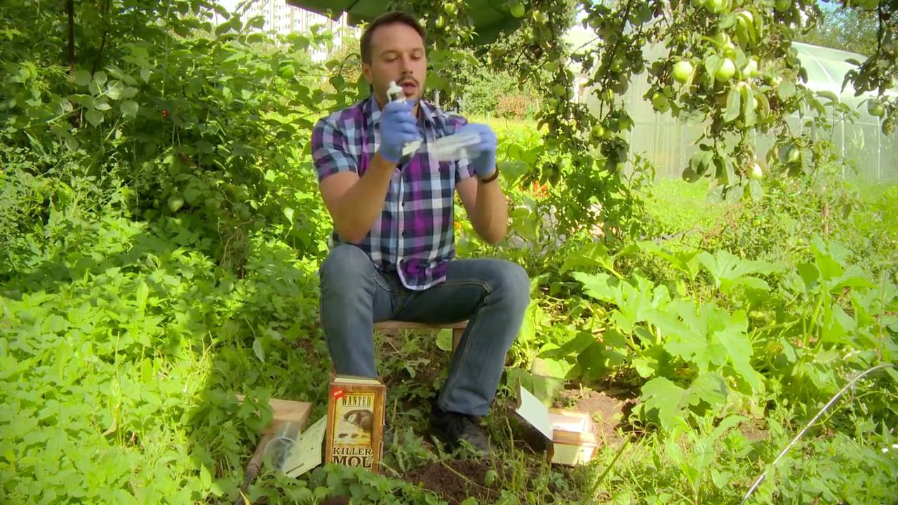 Как избавиться от кротов на участке смотреть онлайн
