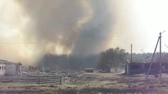 Пожар, горит лес, Ольховатка 2010г. смотреть онлайн