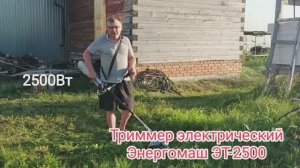 Триммер электрический Энергомаш ЭТ-2500